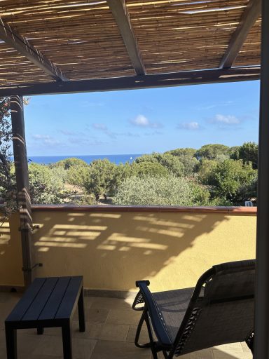 Blick auf das Meer und die umliegenden Bäume von einer Terrasse aus.