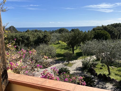 Blick auf Olivenbäume und blühende Pflanzen am Meer.